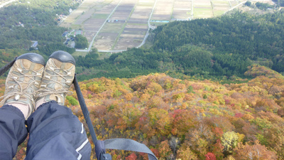 紅葉の上を飛ぶ