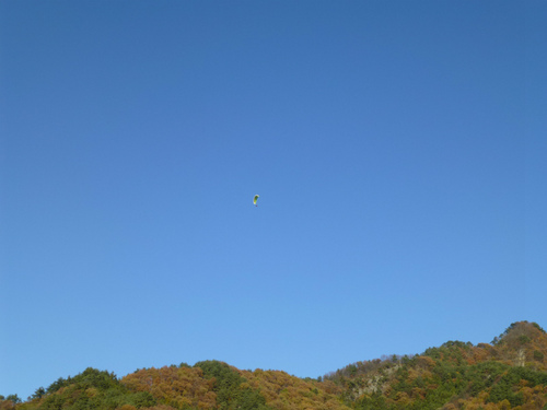 P1000573.jpg