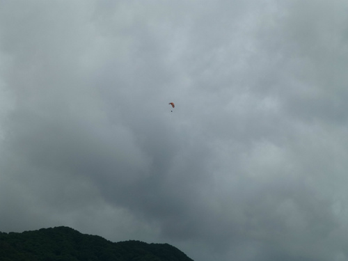 P1010797.jpg