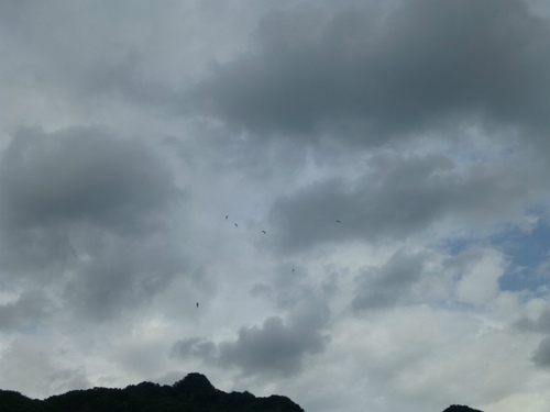 P1010807.jpg