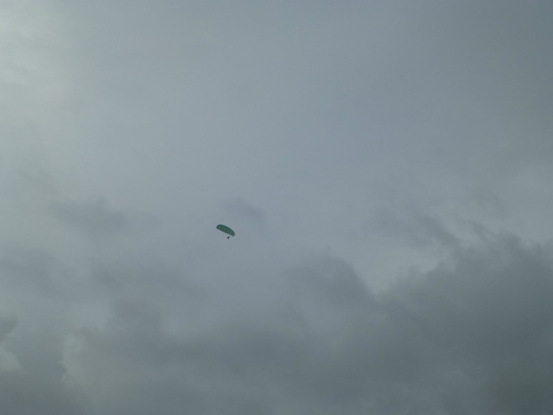 P1020355.jpg