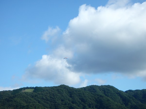 朝飛びは気持ち良いサムネイル