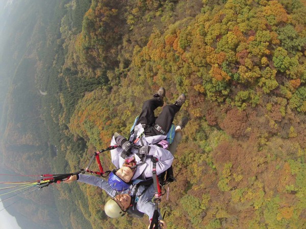 今週末で紅葉フライト終了サムネイル