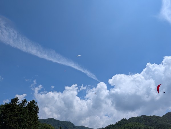 5日土曜日は予定外のサムネイル